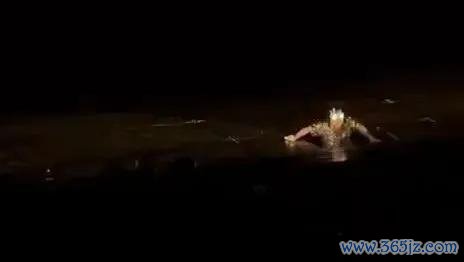 林俊杰演唱会突发不测情况 伴舞摔下升降台