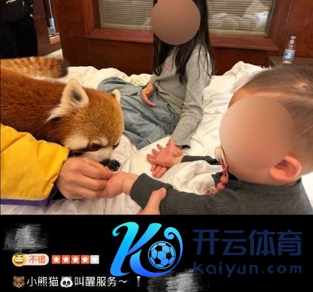 酒店小熊猫叫早做事引争议