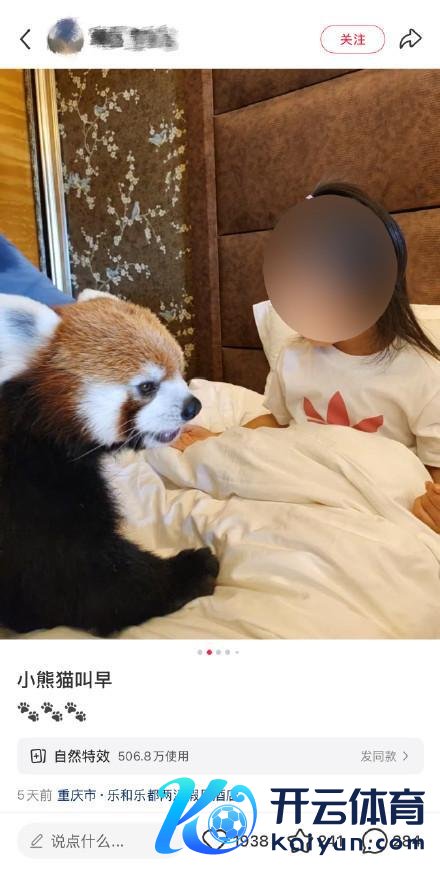 酒店小熊猫叫早做事引争议 亲密互动存风险
