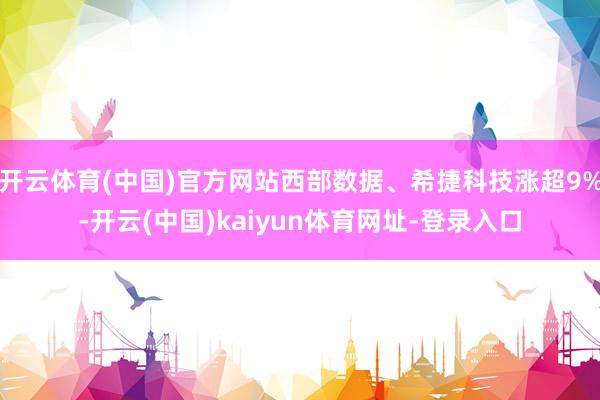 开云体育(中国)官方网站西部数据、希捷科技涨超9%-开云(中国)kaiyun体育网址-登录入口