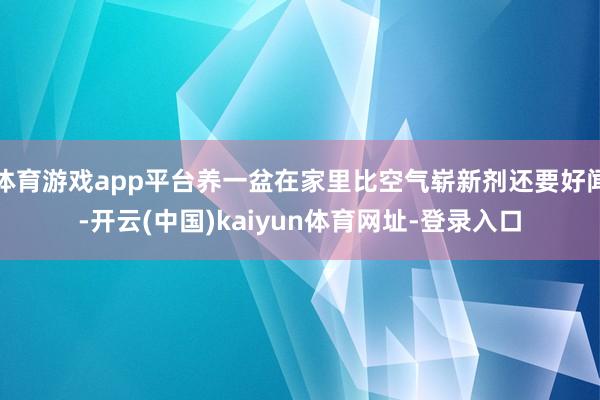 体育游戏app平台养一盆在家里比空气崭新剂还要好闻-开云(中国)kaiyun体育网址-登录入口