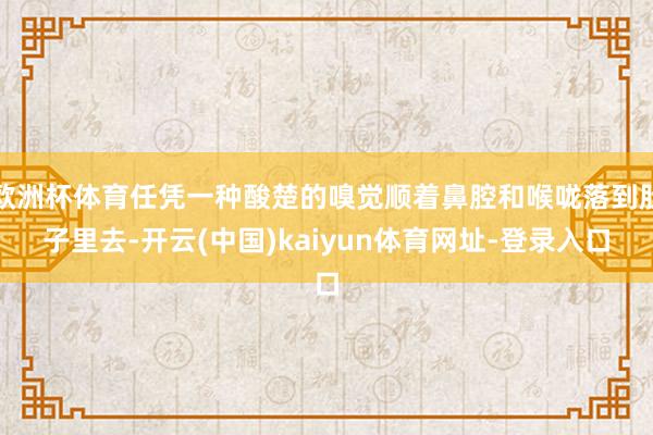 欧洲杯体育任凭一种酸楚的嗅觉顺着鼻腔和喉咙落到肚子里去-开云(中国)kaiyun体育网址-登录入口