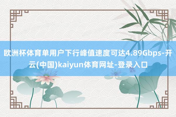 欧洲杯体育单用户下行峰值速度可达4.89Gbps-开云(中国)kaiyun体育网址-登录入口