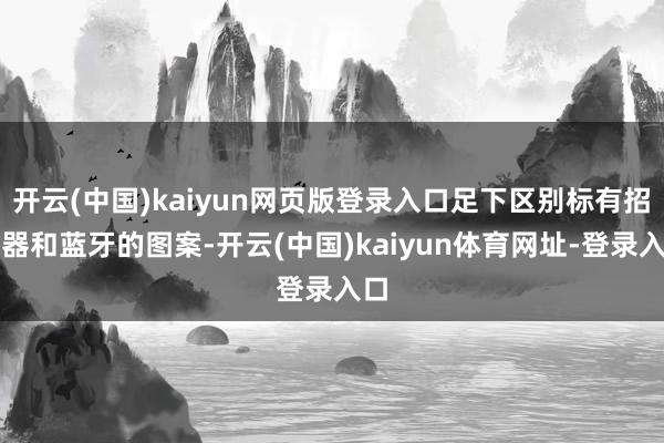 开云(中国)kaiyun网页版登录入口足下区别标有招揽器和蓝牙的图案-开云(中国)kaiyun体育网址-登录入口