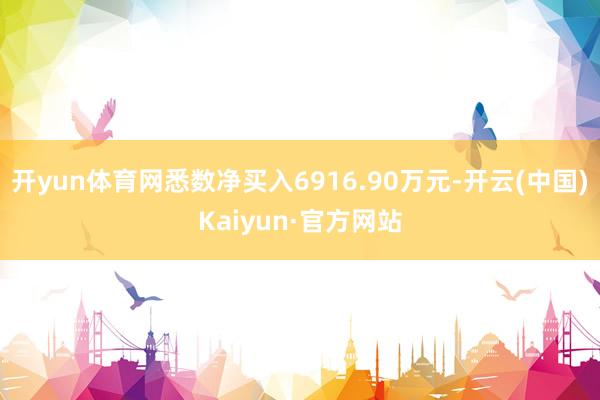 开yun体育网悉数净买入6916.90万元-开云(中国)Ka